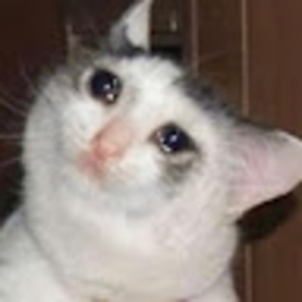 Meet your Posher, It’s.